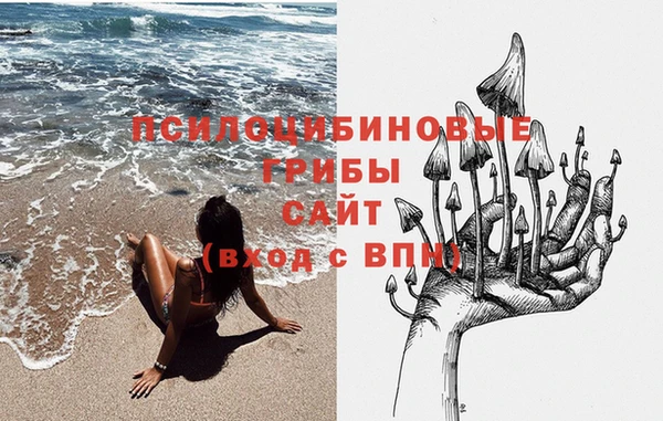 не бодяженный Абаза