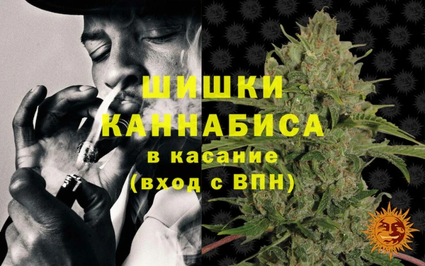 гидра Кинешма