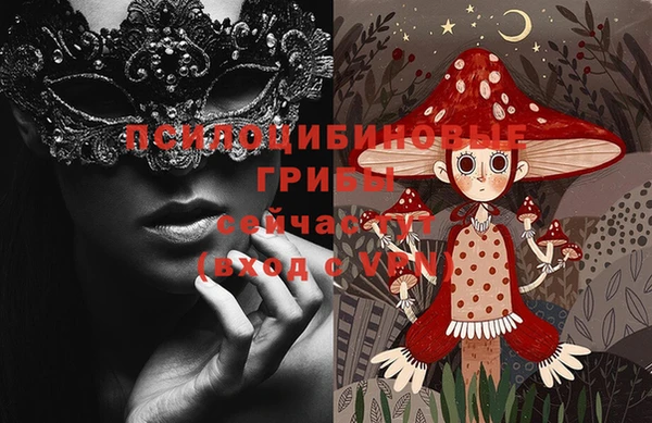 не бодяженный Абаза