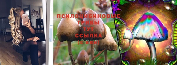 не бодяженный Абаза