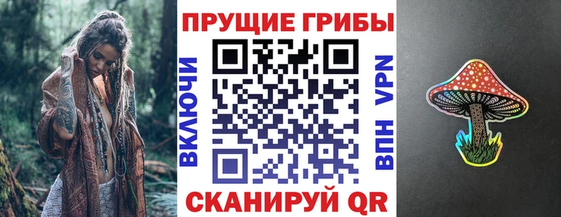 Псилоцибиновые грибы ЛСД  Шахунья 